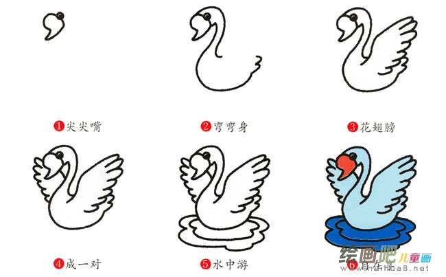 天鹅动物简笔画步骤图片大全