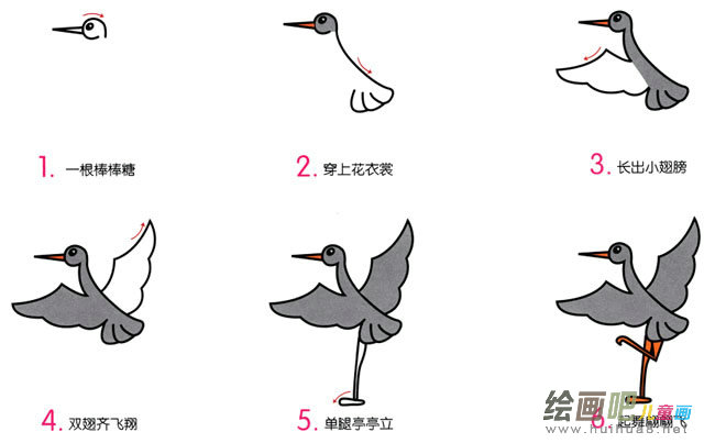 小灰鹤动物简笔画步骤图片大全