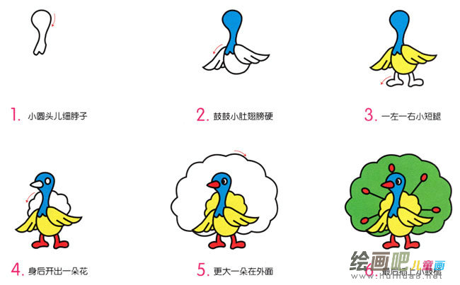 小孔雀动物简笔画步骤图片大全