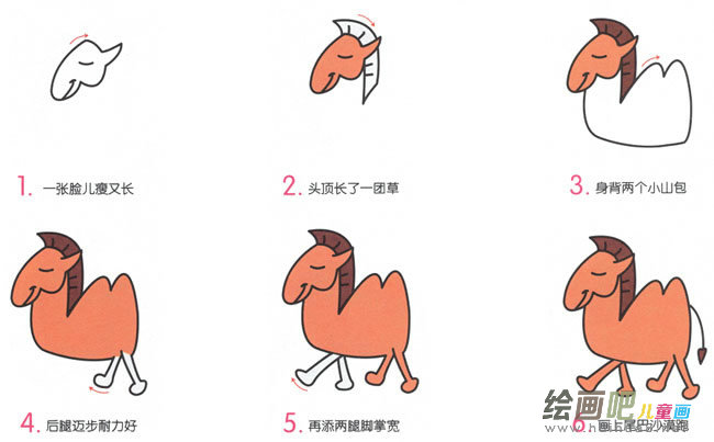 小骆驼动物简笔画步骤图片大全