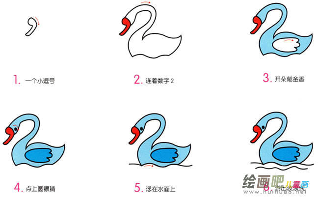 小天鹅动物简笔画步骤图片大全