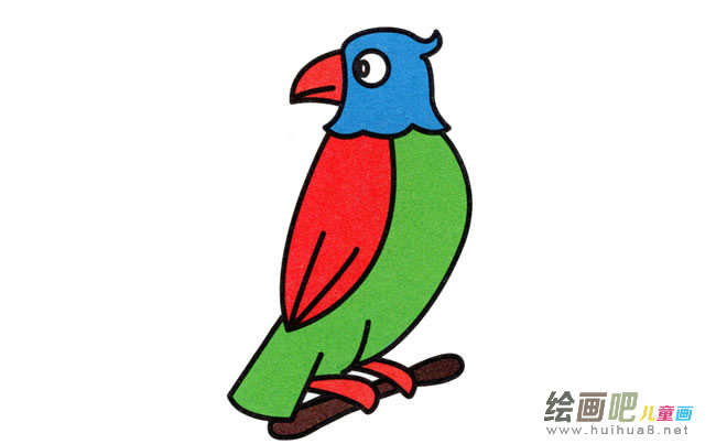 小鹦鹉动物简笔画步骤图片大全