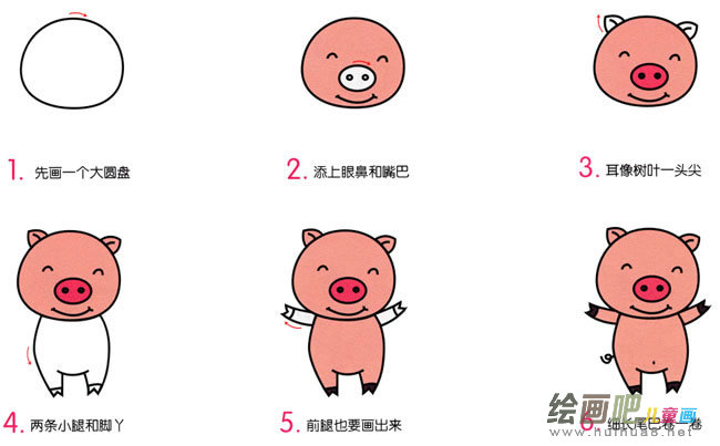 小猪动物简笔画步骤图片大全