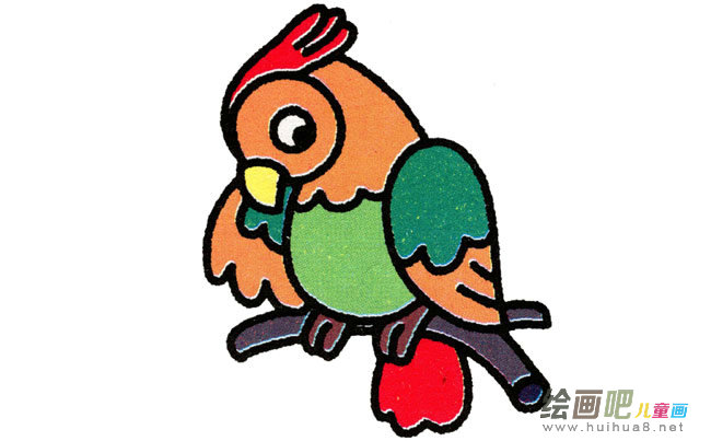 鹦鹉动物简笔画步骤图片大全