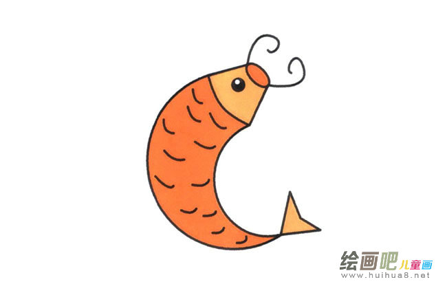 鲤鱼动物简笔画步骤图片大全