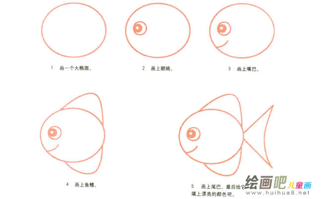 圆头鱼动物简笔画步骤图片大全