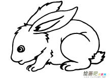 /jianbihua/dongwujianbi/31985.html