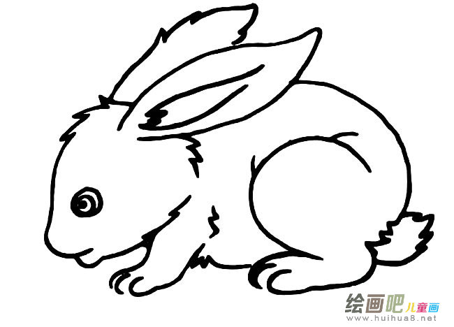 兔子动物简笔画步骤图片大全