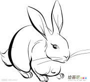 /jianbihua/dongwujianbi/31968.html