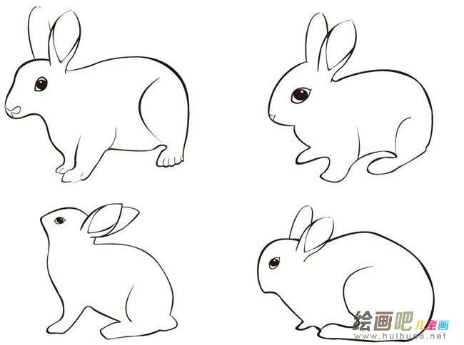 兔子动物简笔画步骤图片大全