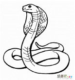 /jianbihua/dongwujianbi/31950.html