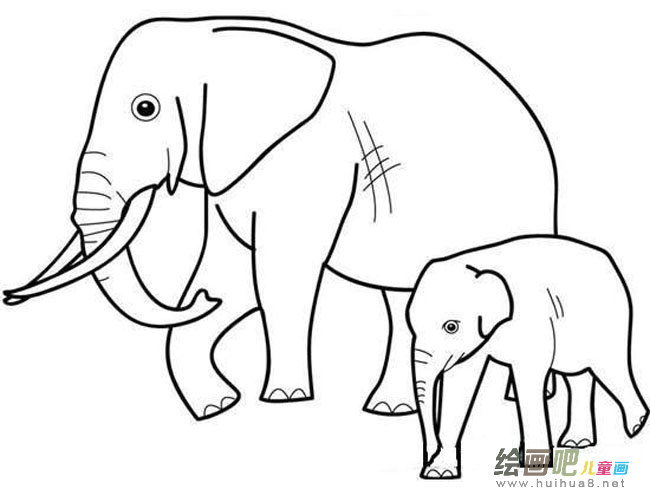大象带着小象动物简笔画步骤图片大全