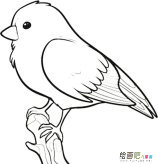 /jianbihua/dongwujianbi/31821.html