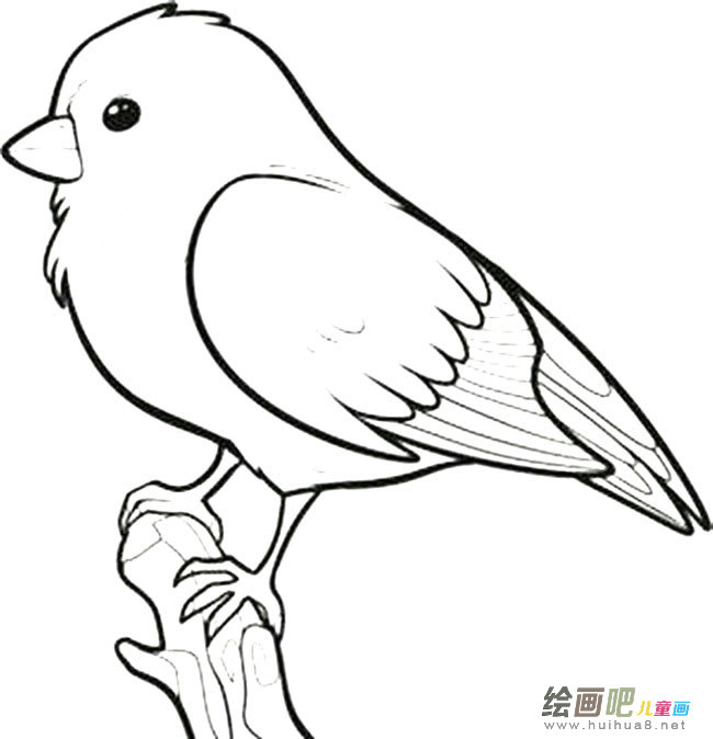 小麻雀动物简笔画步骤图片大全