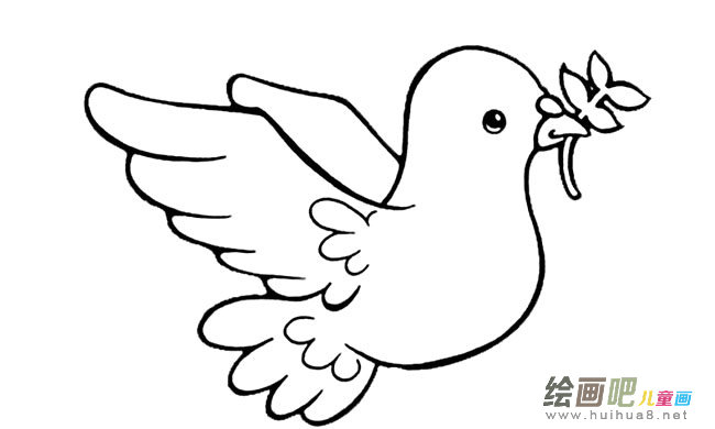 和平鸽小鸟动物简笔画步骤图片大全