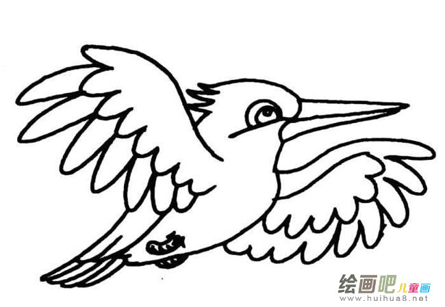 翠鸟 小鸟 动物 简笔画 步骤 图片大全