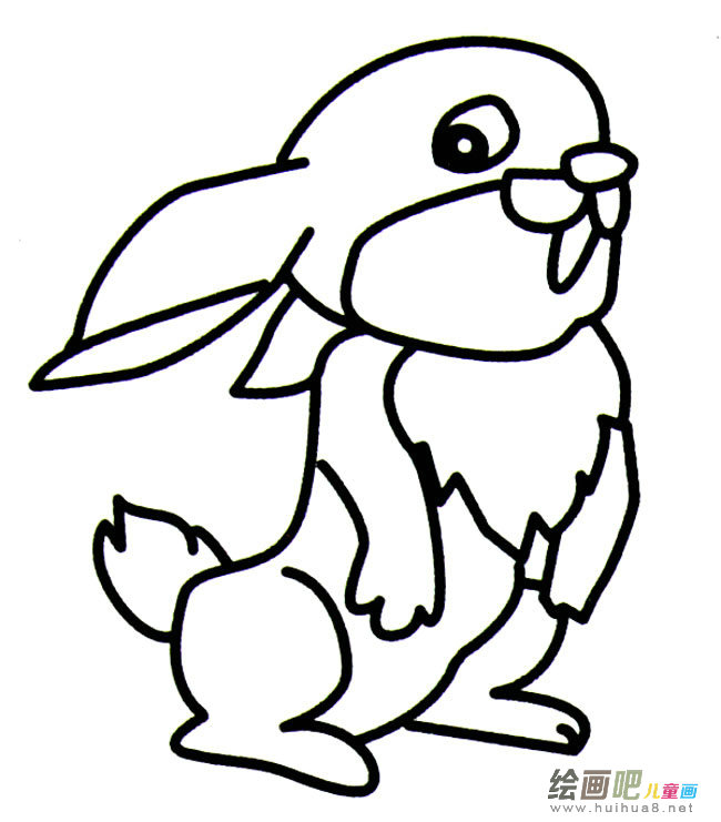 卡通兔子动物简笔画步骤图片大全