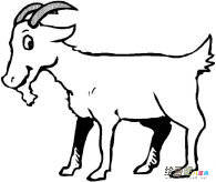 /jianbihua/dongwujianbi/31668.html