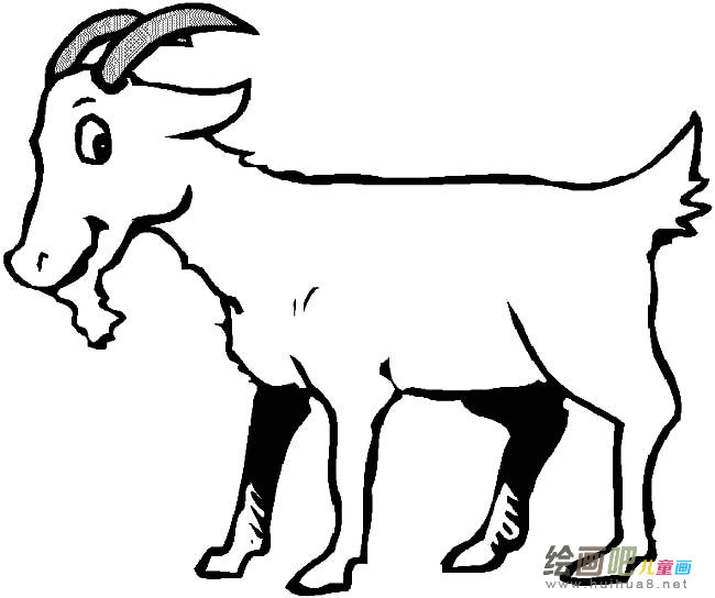 山羊动物简笔画步骤图片大全