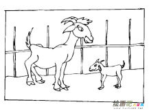 /jianbihua/dongwujianbi/31671.html