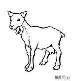 /jianbihua/dongwujianbi/31666.html