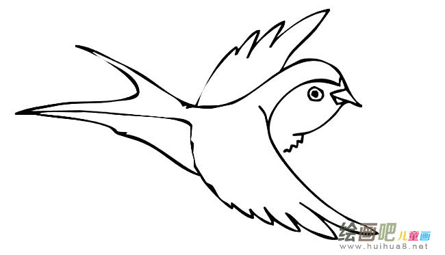 燕子动物简笔画步骤图片大全