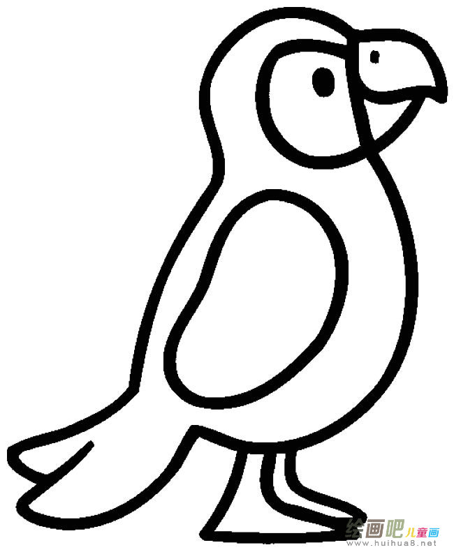 鹦鹉动物简笔画步骤图片大全
