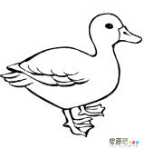 /jianbihua/dongwujianbi/31605.html