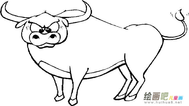 公牛动物简笔画步骤图片大全