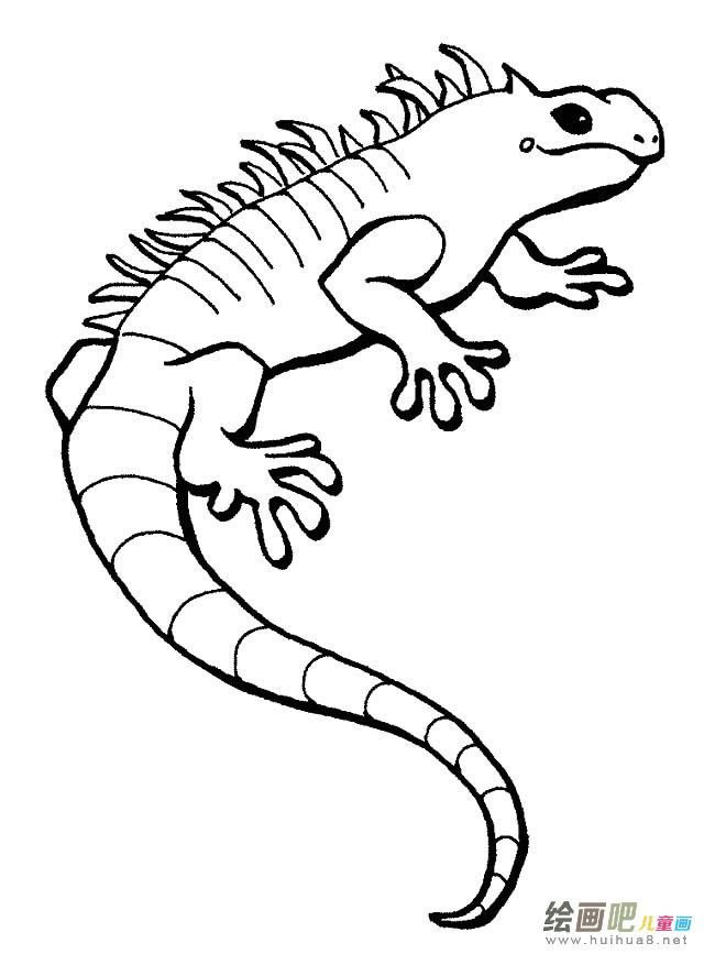 大蜥蜴动物简笔画步骤图片大全