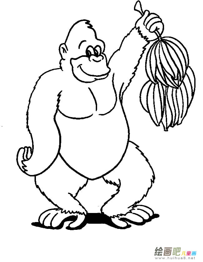 大猩猩动物简笔画步骤图片大全