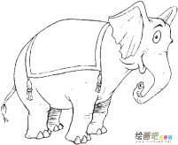 /jianbihua/dongwujianbi/31539.html