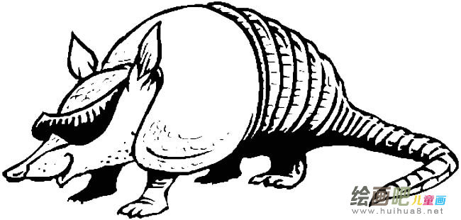 犰狳动物简笔画步骤图片大全