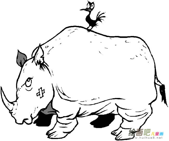 犀牛动物简笔画步骤图片大全