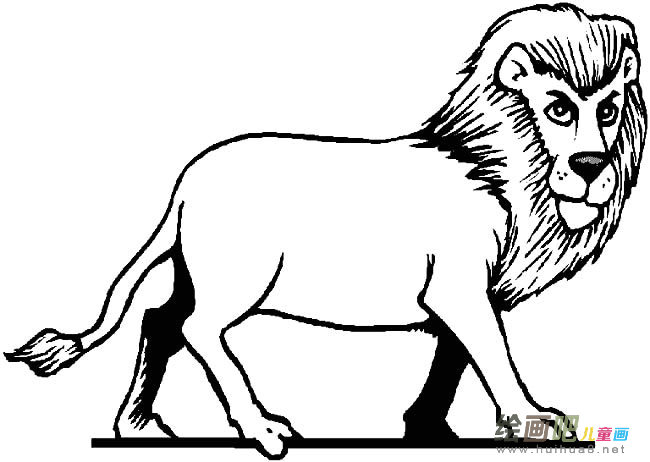 狮子动物简笔画步骤图片大全