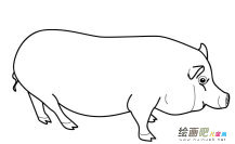 /jianbihua/dongwujianbi/31579.html