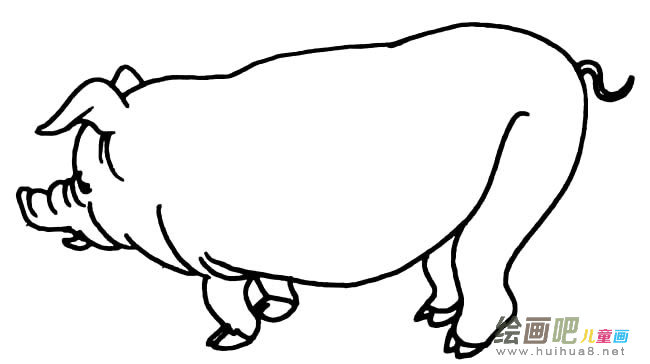 大肥猪动物简笔画步骤图片大全二