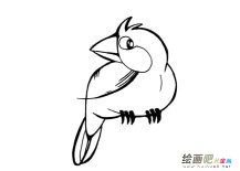 /jianbihua/dongwujianbi/31563.html