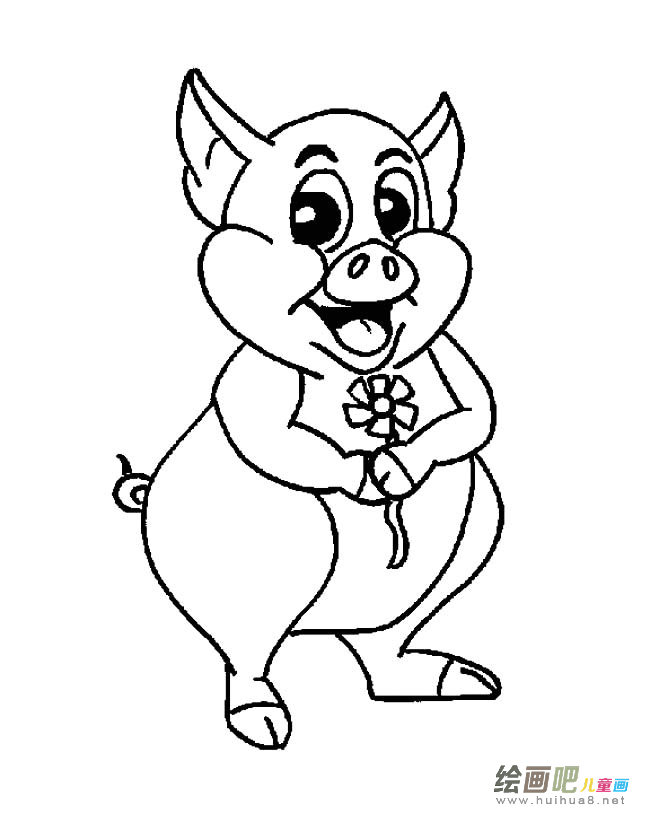 小猪动物简笔画步骤图片大全二