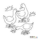 /jianbihua/dongwujianbi/31377.html