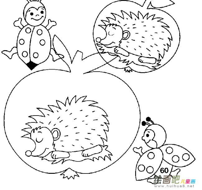 刺猬和瓢虫动物简笔画步骤图片大全