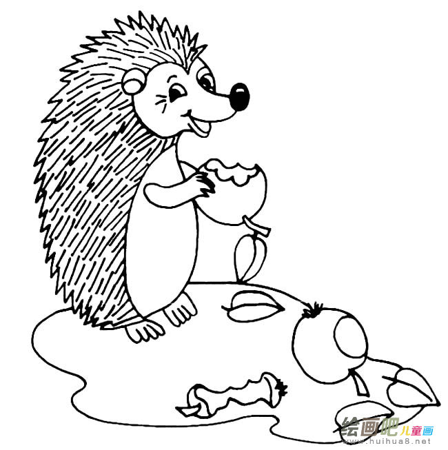 刺猬动物简笔画步骤图片大全三