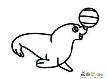 海豹表演动物简笔画步骤