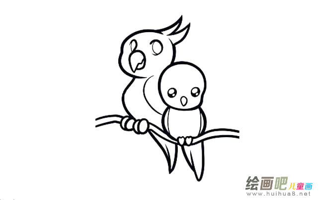 两只鹦鹉动物简笔画步骤图片大全