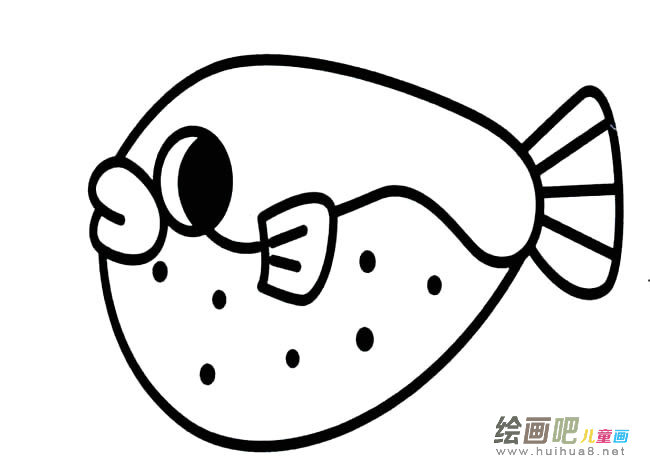 河豚鱼动物简笔画步骤图片大全