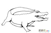 /jianbihua/dongwujianbi/31443.html