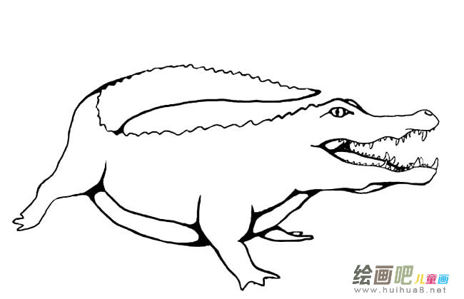 鳄鱼动物简笔画步骤图片大全