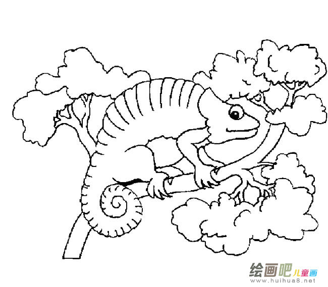 变色龙动物简笔画步骤图片大全三
