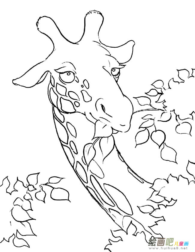 长颈鹿动物简笔画步骤图片大全