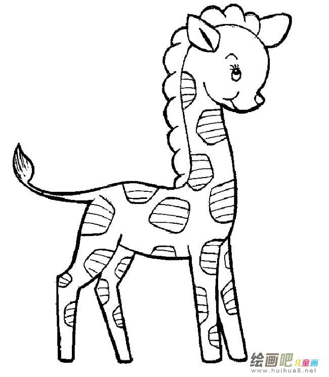 小长颈鹿动物简笔画步骤图片大全
